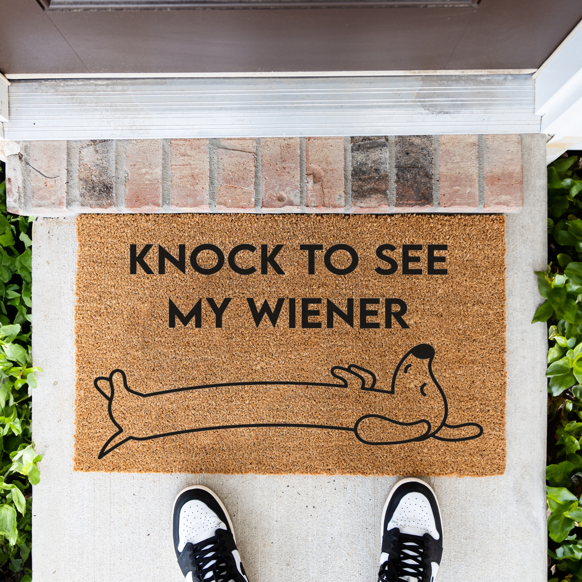 Knock to See My Wiener Funny Doormat