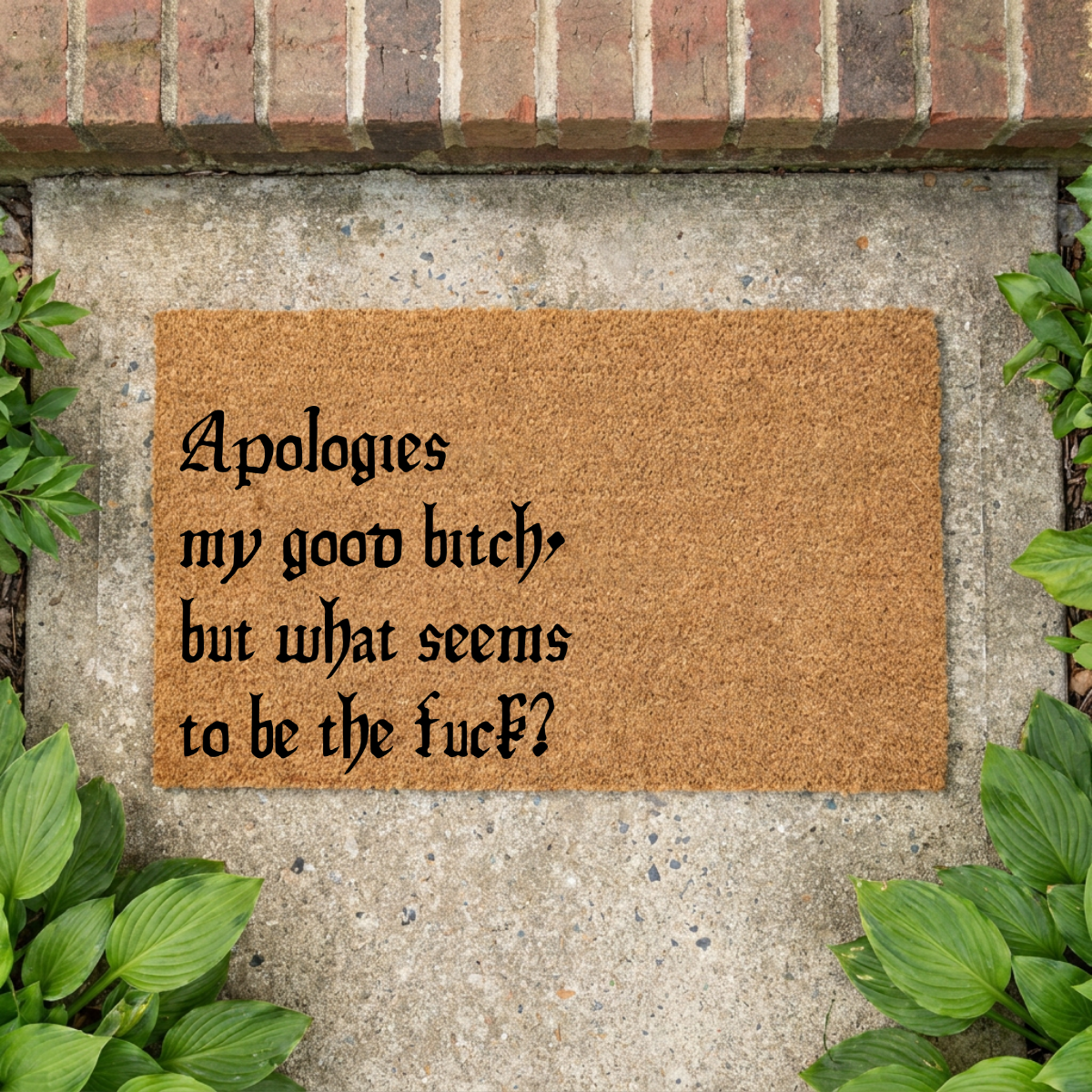 What Seems to be the Fuck Doormat