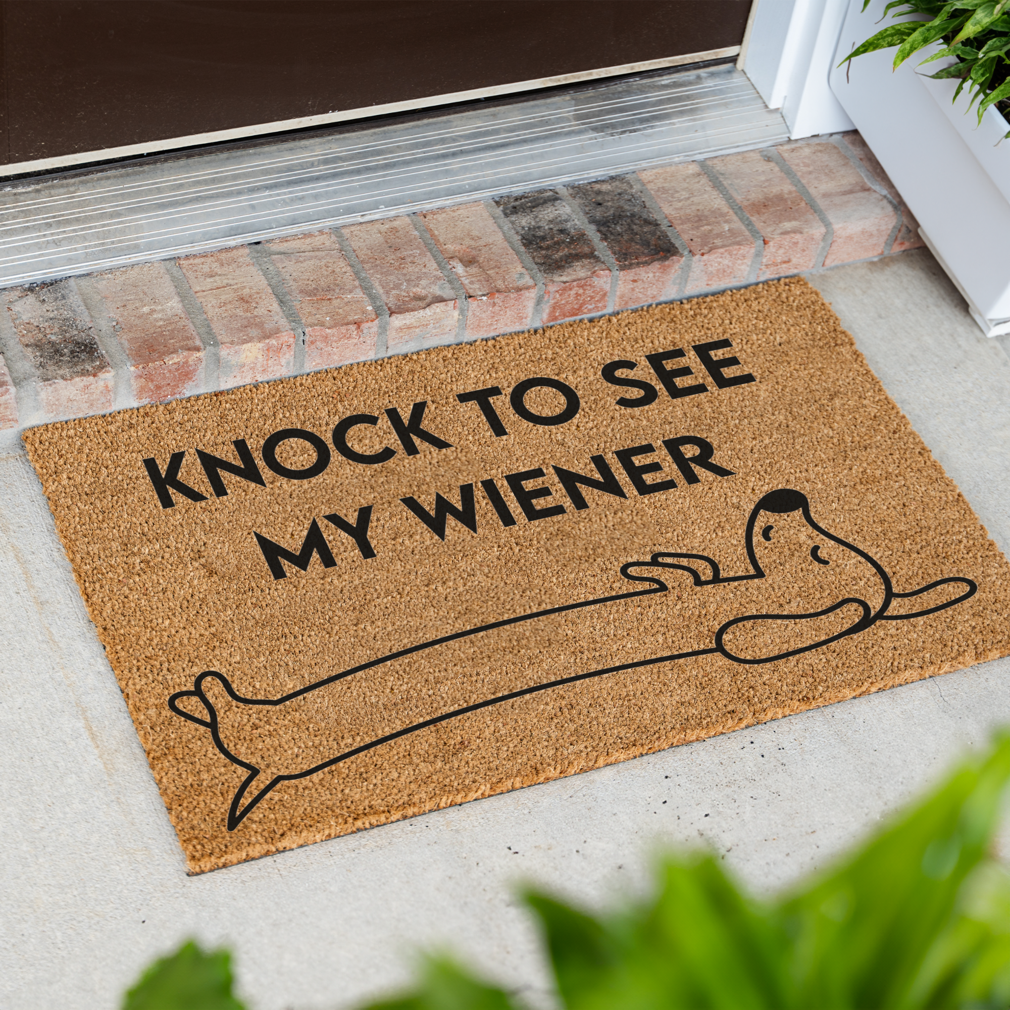 Knock to See My Wiener Funny Doormat